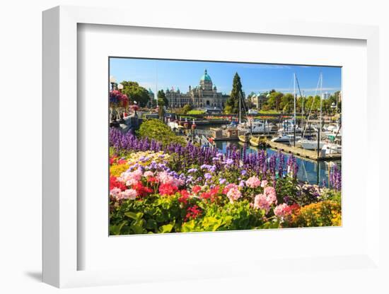 Summer flowers at Inner Harbour, Victoria, British Columbia, Canada-Stuart Westmorland-Framed Photographic Print