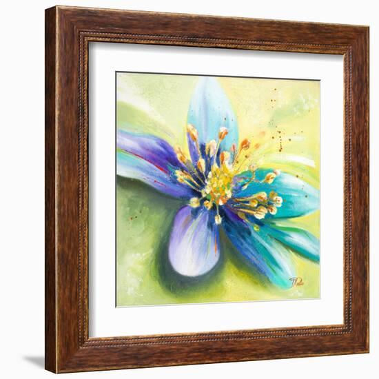 Summer Flowers I-Patricia Pinto-Framed Art Print