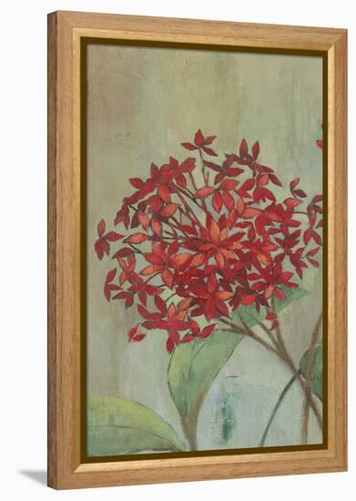 Summer Flowers I-Andrew Michaels-Framed Stretched Canvas