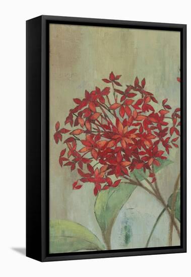 Summer Flowers I-Andrew Michaels-Framed Stretched Canvas