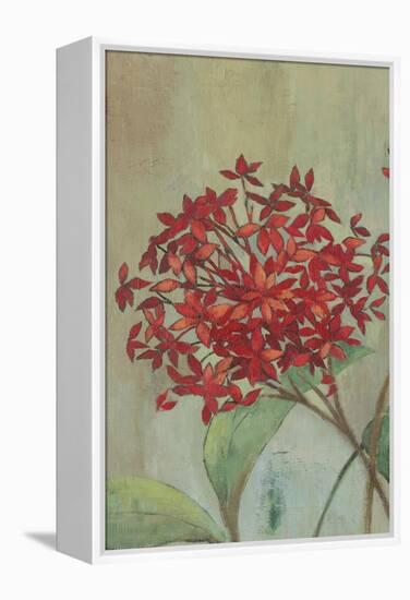 Summer Flowers I-Andrew Michaels-Framed Stretched Canvas