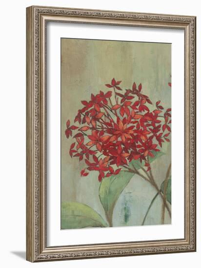 Summer Flowers I-Andrew Michaels-Framed Art Print