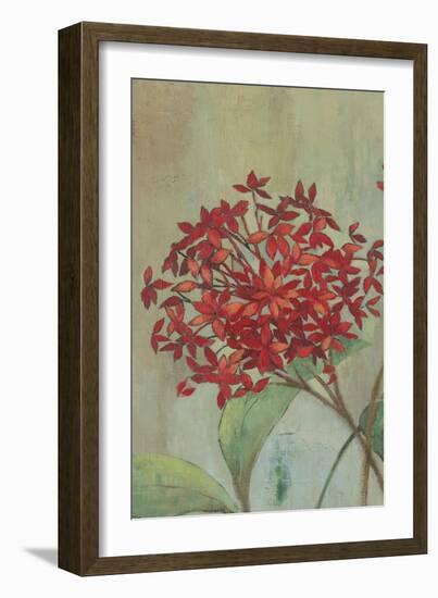 Summer Flowers I-Andrew Michaels-Framed Art Print