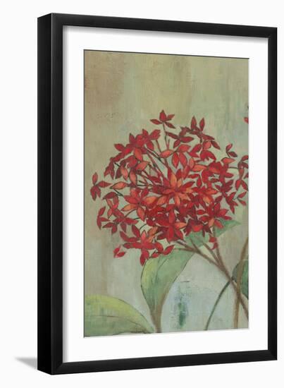 Summer Flowers I-Andrew Michaels-Framed Art Print