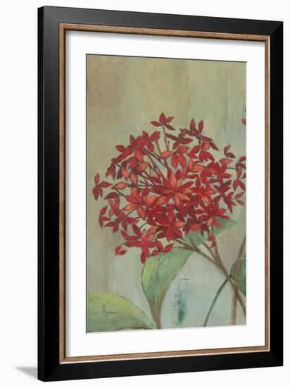 Summer Flowers I-Andrew Michaels-Framed Art Print