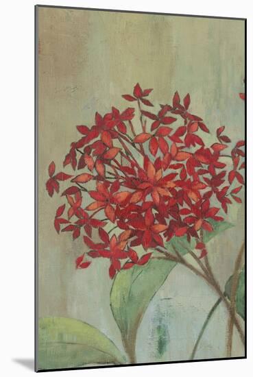 Summer Flowers I-Andrew Michaels-Mounted Art Print