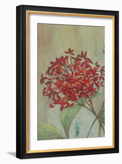 Summer Flowers I-Andrew Michaels-Framed Art Print