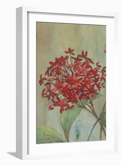 Summer Flowers I-Andrew Michaels-Framed Premium Giclee Print