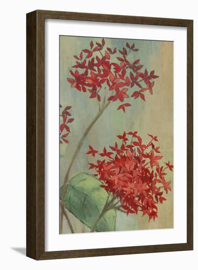 Summer Flowers II-Andrew Michaels-Framed Premium Giclee Print