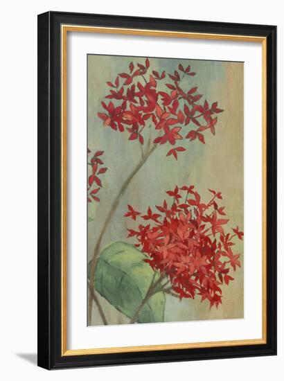 Summer Flowers II-Andrew Michaels-Framed Premium Giclee Print