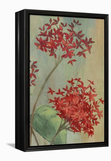Summer Flowers II-Andrew Michaels-Framed Stretched Canvas