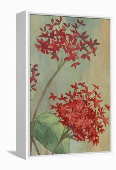 Summer Flowers II-Andrew Michaels-Framed Stretched Canvas