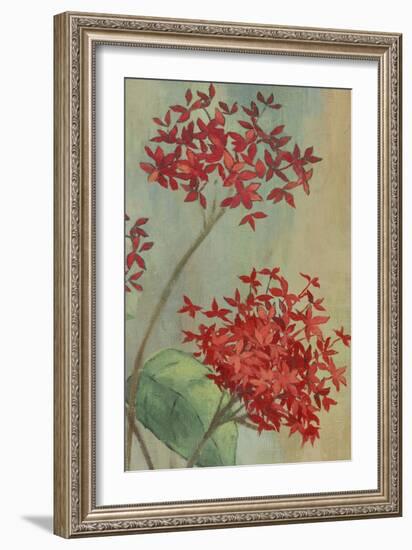 Summer Flowers II-Andrew Michaels-Framed Art Print