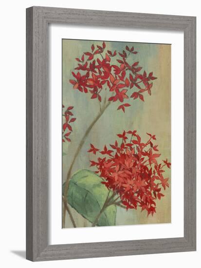 Summer Flowers II-Andrew Michaels-Framed Art Print