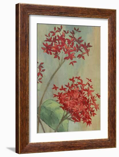 Summer Flowers II-Andrew Michaels-Framed Art Print