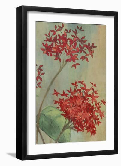 Summer Flowers II-Andrew Michaels-Framed Art Print