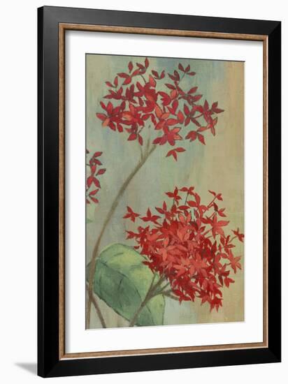 Summer Flowers II-Andrew Michaels-Framed Art Print