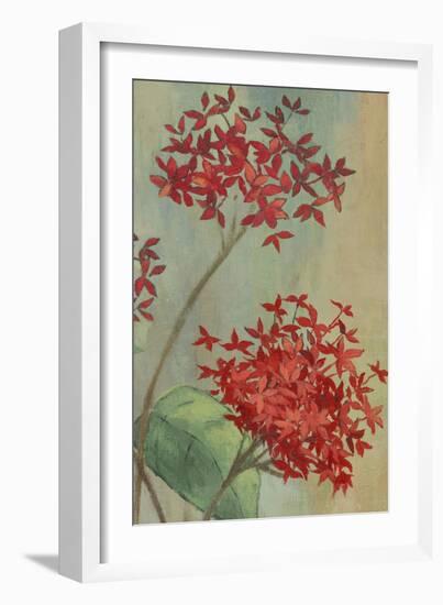 Summer Flowers II-Andrew Michaels-Framed Art Print