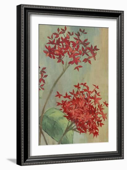 Summer Flowers II-Andrew Michaels-Framed Art Print