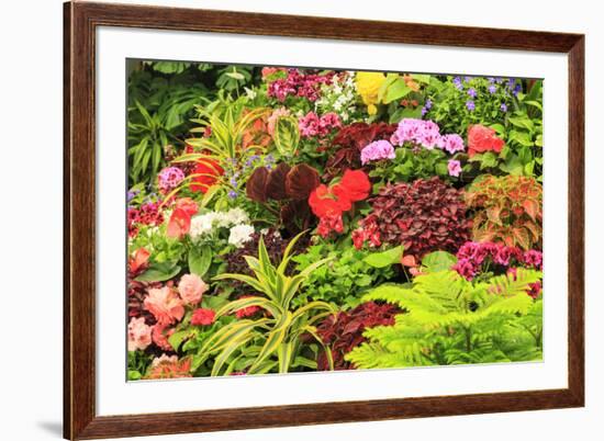 Summer flowers in a garden near Victoria, British Columbia-Stuart Westmorland-Framed Photographic Print