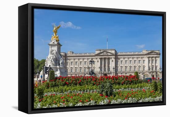 Summer flowers in front of Buckingham Palace in London, United Kingdom.-Michele Niles-Framed Premier Image Canvas