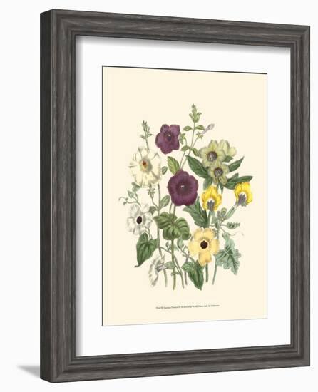 Summer Flowers IV-null-Framed Art Print