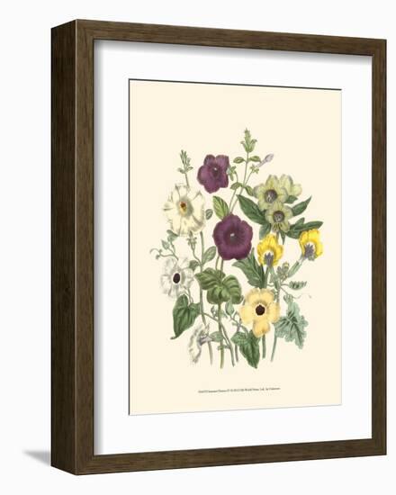 Summer Flowers IV-null-Framed Art Print