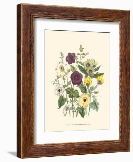 Summer Flowers IV-null-Framed Art Print