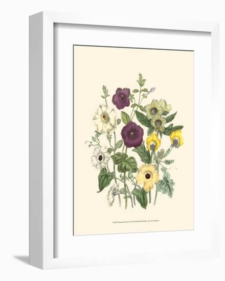 Summer Flowers IV-null-Framed Art Print