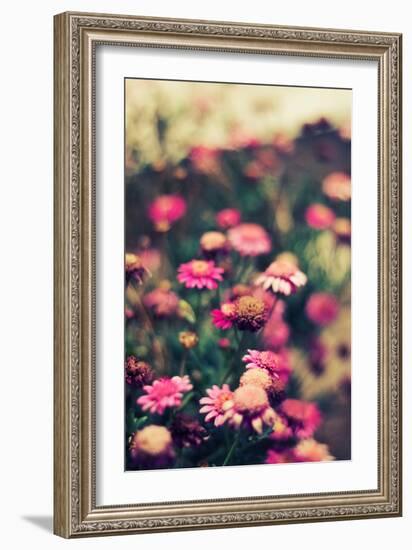 Summer Flowers Outdoors-Carolina Hernandez-Framed Photographic Print