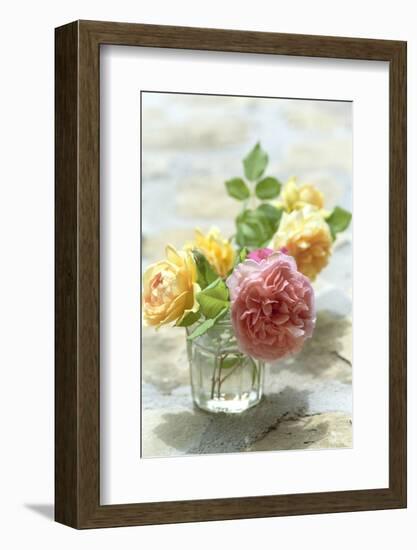 Summer, Flowers, Roses, Vase-Nora Frei-Framed Photographic Print