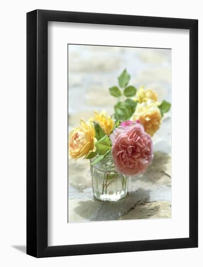 Summer, Flowers, Roses, Vase-Nora Frei-Framed Photographic Print