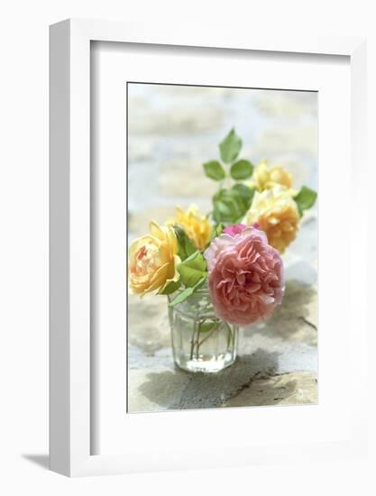 Summer, Flowers, Roses, Vase-Nora Frei-Framed Photographic Print