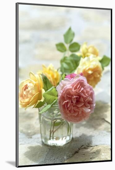 Summer, Flowers, Roses, Vase-Nora Frei-Mounted Photographic Print
