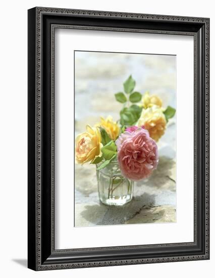 Summer, Flowers, Roses, Vase-Nora Frei-Framed Photographic Print