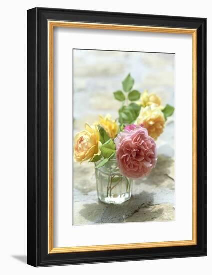 Summer, Flowers, Roses, Vase-Nora Frei-Framed Photographic Print