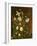 Summer Flowers-Johan Laurents Jensen-Framed Giclee Print