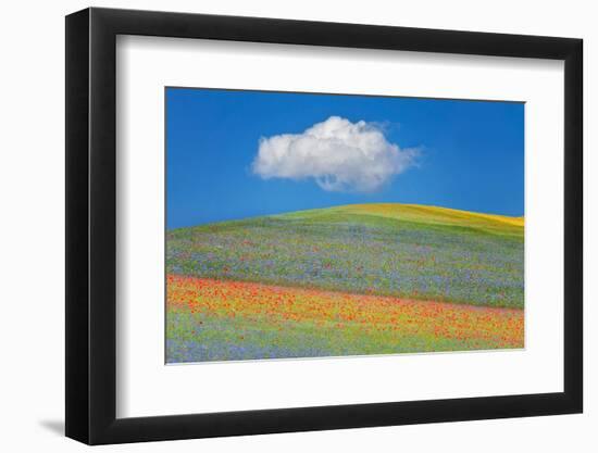 Summer flowers-Marco Carmassi-Framed Photographic Print