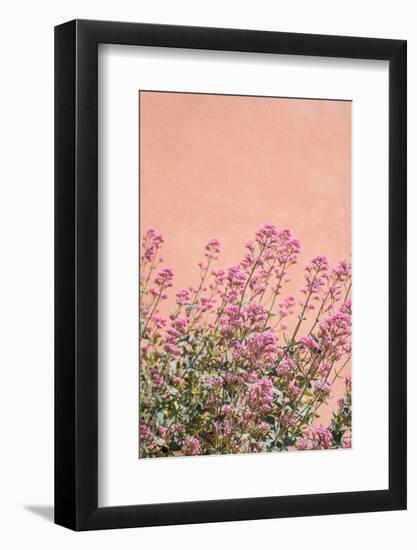 Summer Flowers-Henrike Schenk-Framed Photographic Print