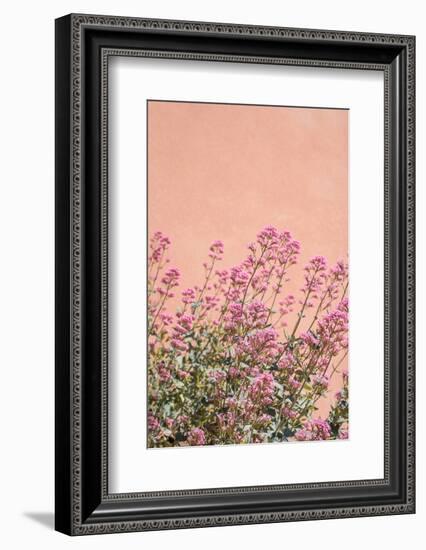 Summer Flowers-Henrike Schenk-Framed Photographic Print