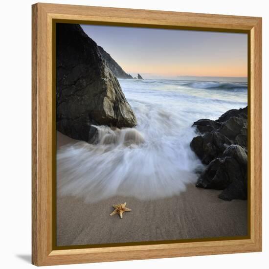 Summer Flux-Paulo Dias-Framed Premier Image Canvas