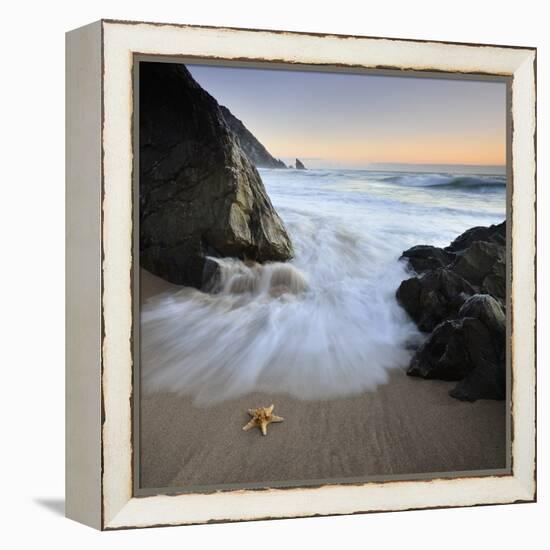 Summer Flux-Paulo Dias-Framed Premier Image Canvas