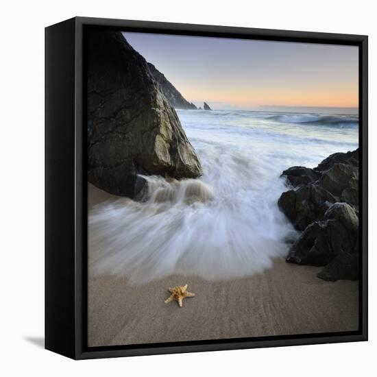 Summer Flux-Paulo Dias-Framed Premier Image Canvas