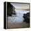 Summer Flux-Paulo Dias-Framed Premier Image Canvas