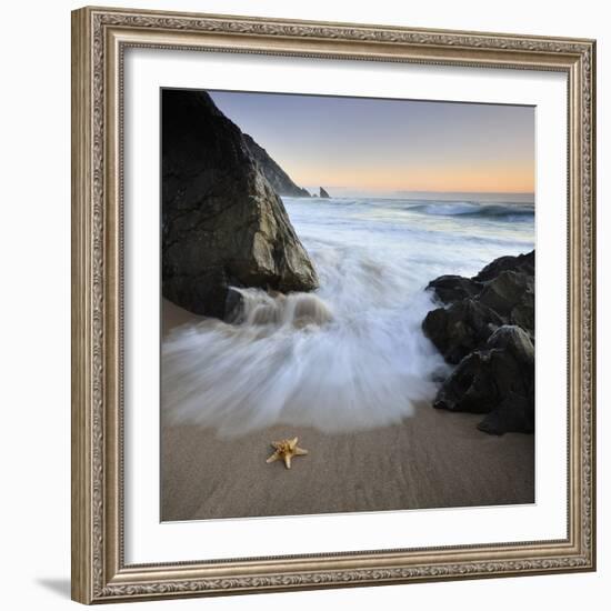 Summer Flux-Paulo Dias-Framed Photographic Print