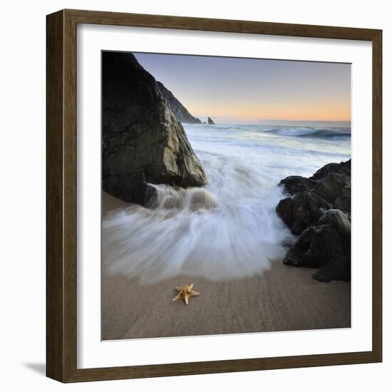 Summer Flux-Paulo Dias-Framed Photographic Print