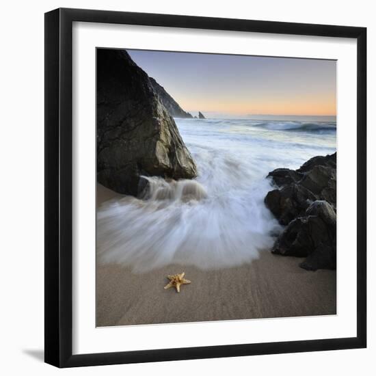 Summer Flux-Paulo Dias-Framed Photographic Print