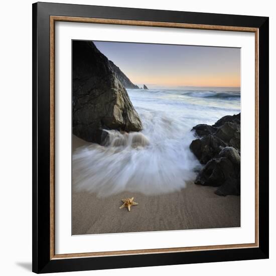 Summer Flux-Paulo Dias-Framed Photographic Print