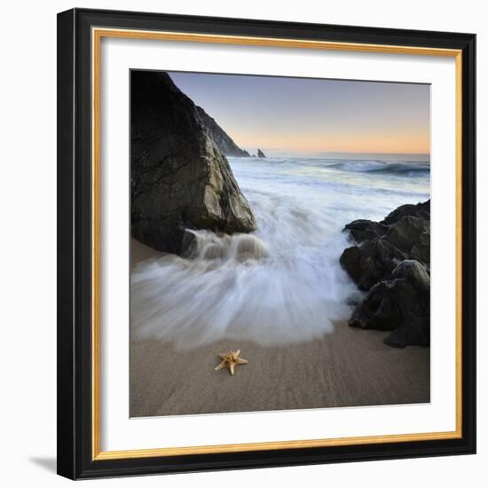 Summer Flux-Paulo Dias-Framed Photographic Print