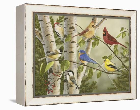 Summer Friends-William Vanderdasson-Framed Premier Image Canvas